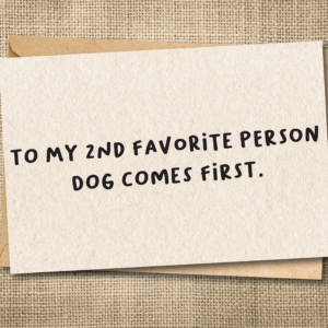 To My 2nd Favorite Person | Funny Dog or Cat Love Card | Snarky Pet Card
