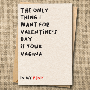 The only thing I want for Valentine's Day is your vagina in my penis funny adult love card