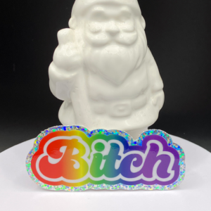 Bitch Holographic Sticker, Rainbow Glitter Vinyl Decal, Funny Swear Word Sticker, Sassy Laptop Water Bottle Sticker