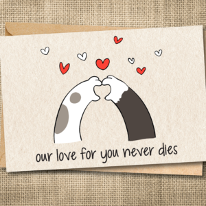 Pet loss sympathy card featuring the message Our Love for You Never Dies with cat paws